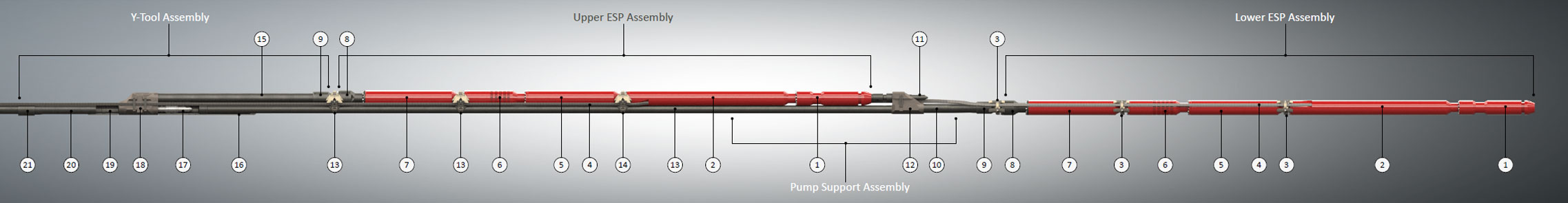Dual ESP With Single Y-Tool & Pump Support - Redundancy