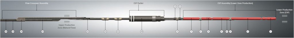 Upper Zone Natural Flow / Lower Zone ESP (Seal Bore Packer)