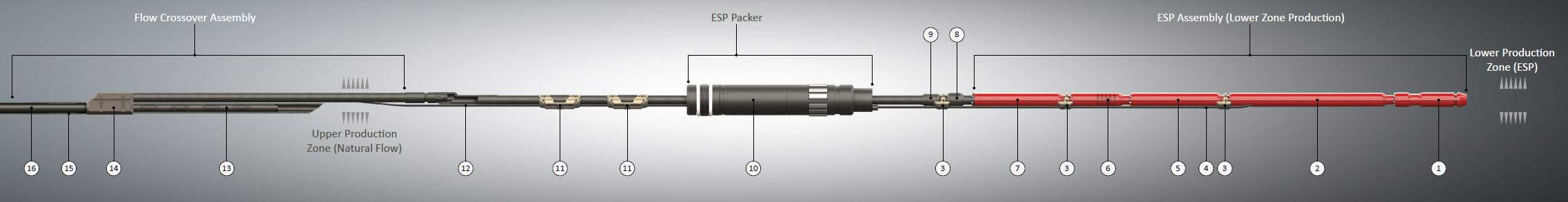 Upper Zone Natural Flow / Lower Zone ESP (ESP Packer)